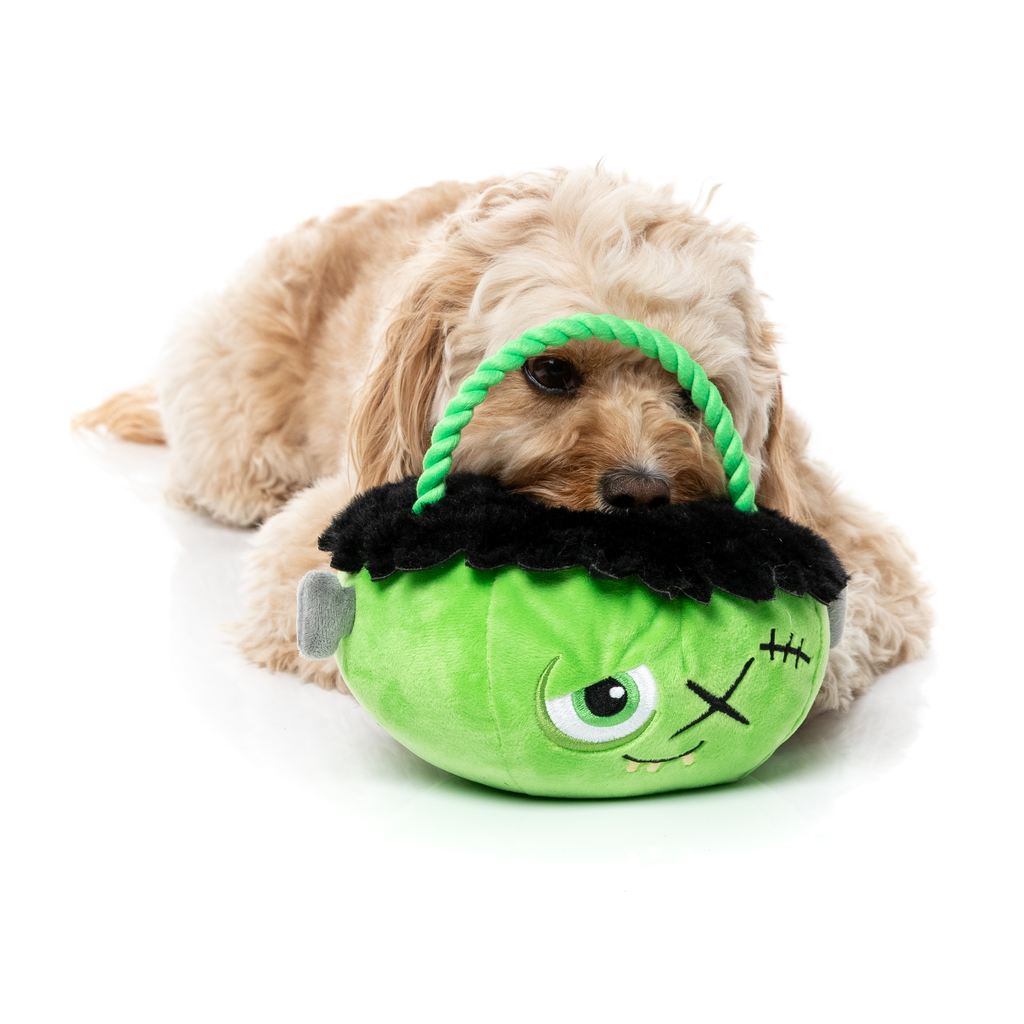 FRANKEN BASKET - JUGUETE PARA PERROS