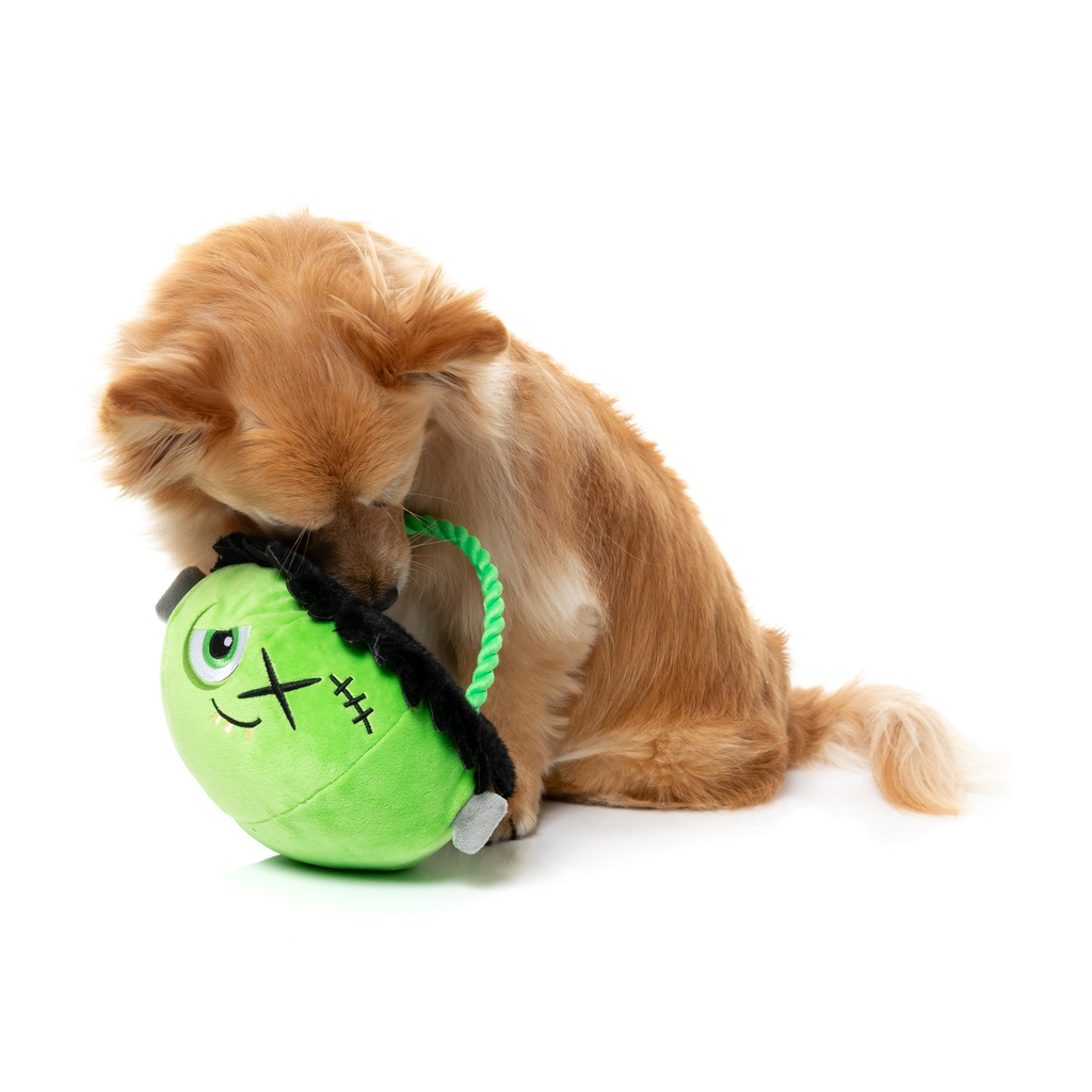 FRANKEN BASKET - JUGUETE PARA PERROS