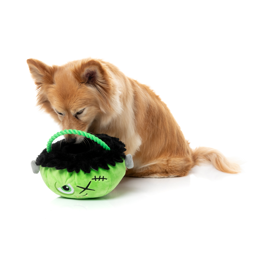 FRANKEN BASKET - JUGUETE PARA PERROS