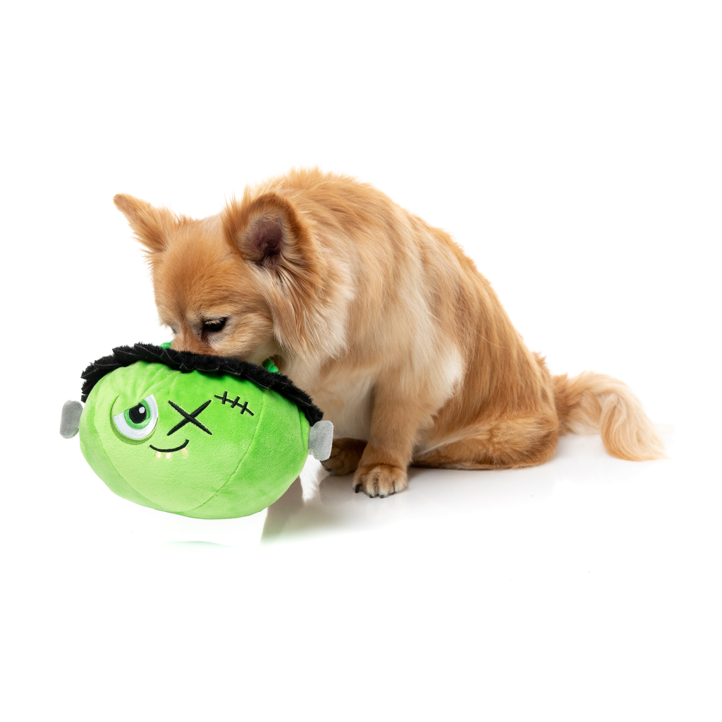 FRANKEN BASKET - JUGUETE PARA PERROS
