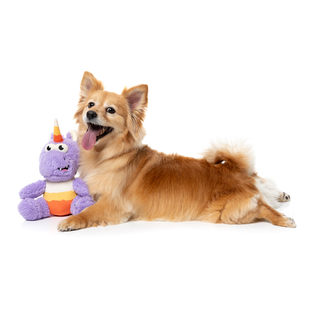 CANDY CORN ELECTRA - JUGUETE PARA PERROS