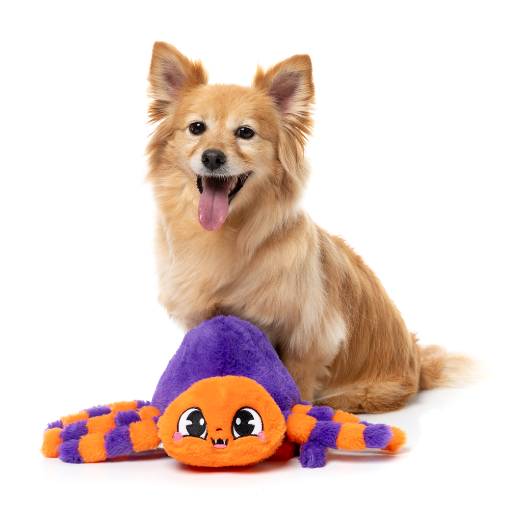 TARANTINA THE SPIDER - JUGUETE PARA PERROS