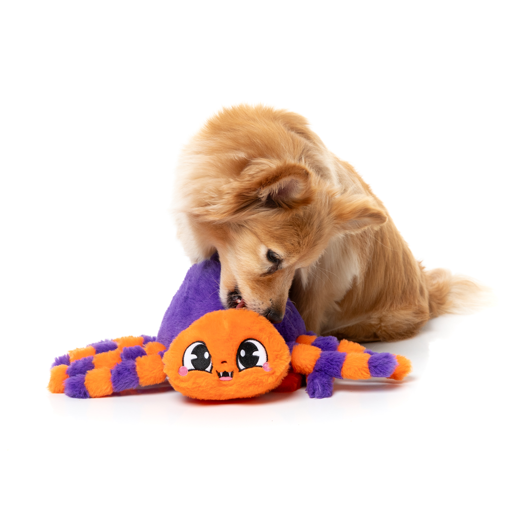 TARANTINA THE SPIDER - JUGUETE PARA PERROS