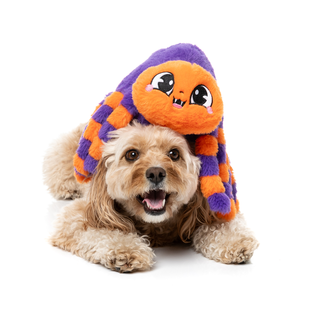 TARANTINA THE SPIDER - JUGUETE PARA PERROS