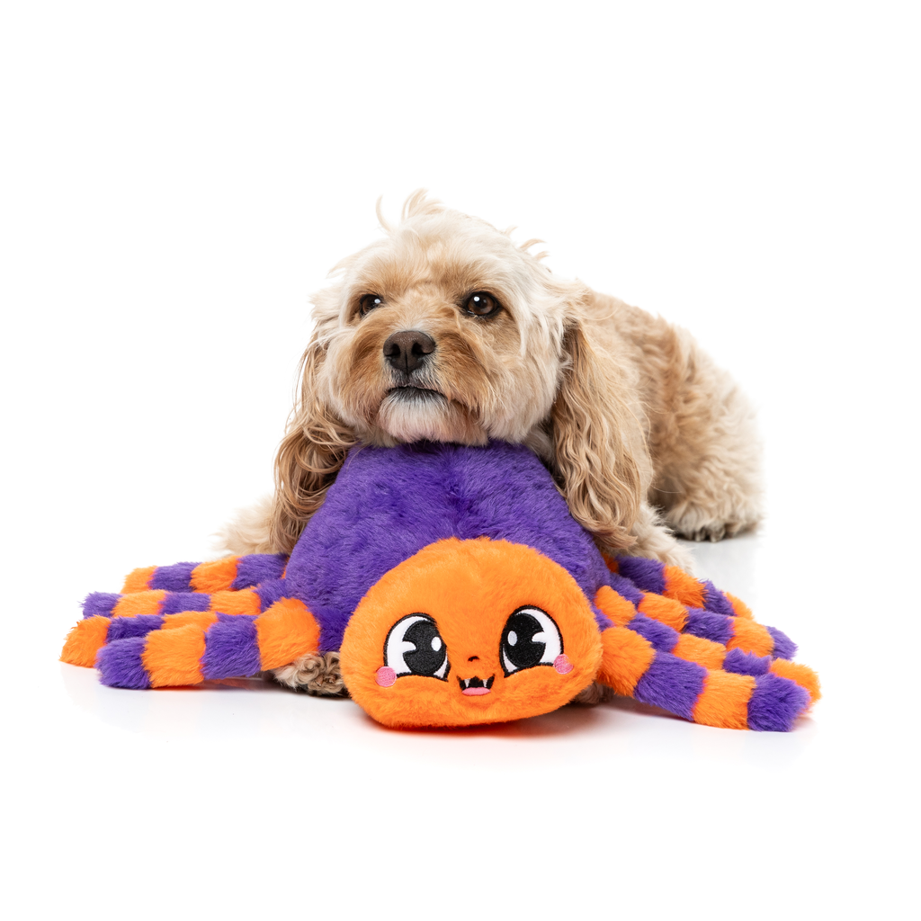 TARANTINA THE SPIDER - JUGUETE PARA PERROS