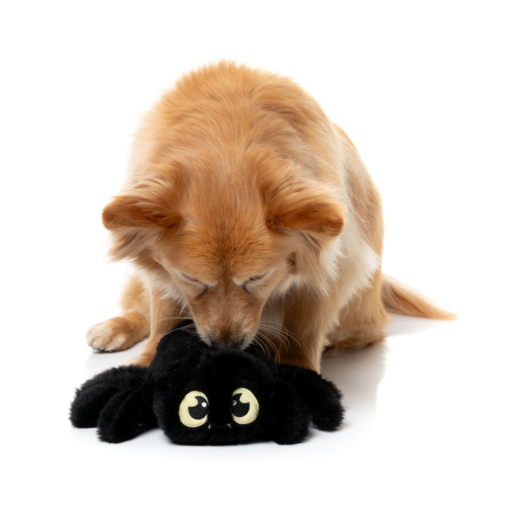 WEBASTIAN THE RED BACK - JUGUETE PARA PERROS