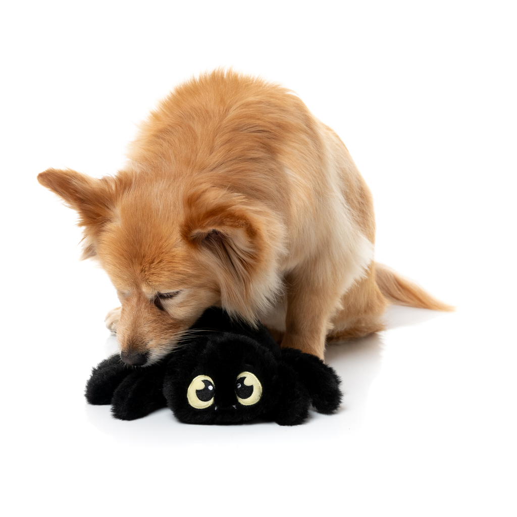 WEBASTIAN THE RED BACK - JUGUETE PARA PERROS