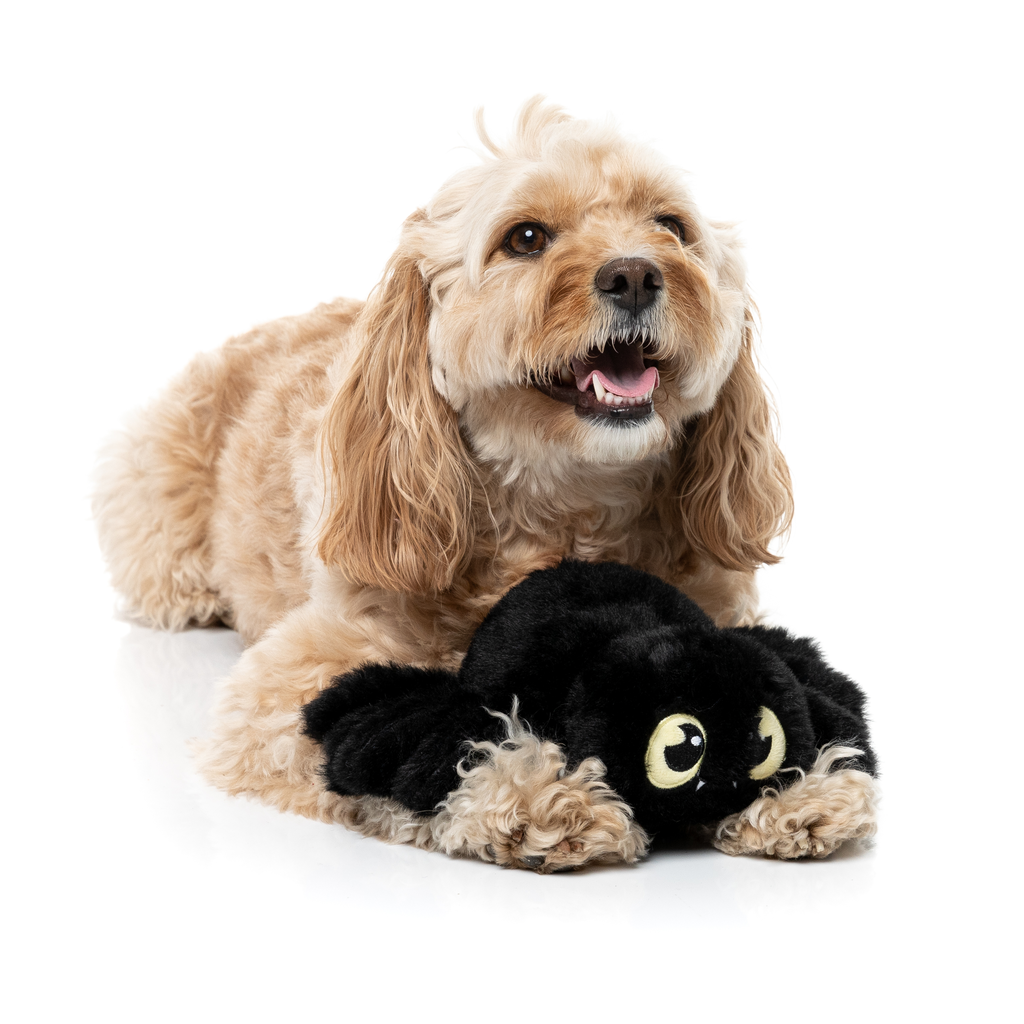 WEBASTIAN THE RED BACK - JUGUETE PARA PERROS