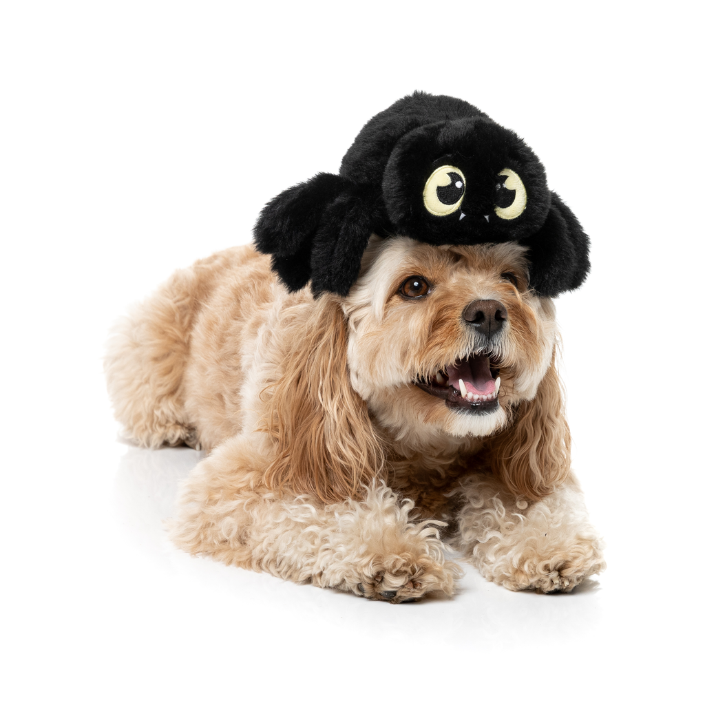 WEBASTIAN THE RED BACK - JUGUETE PARA PERROS