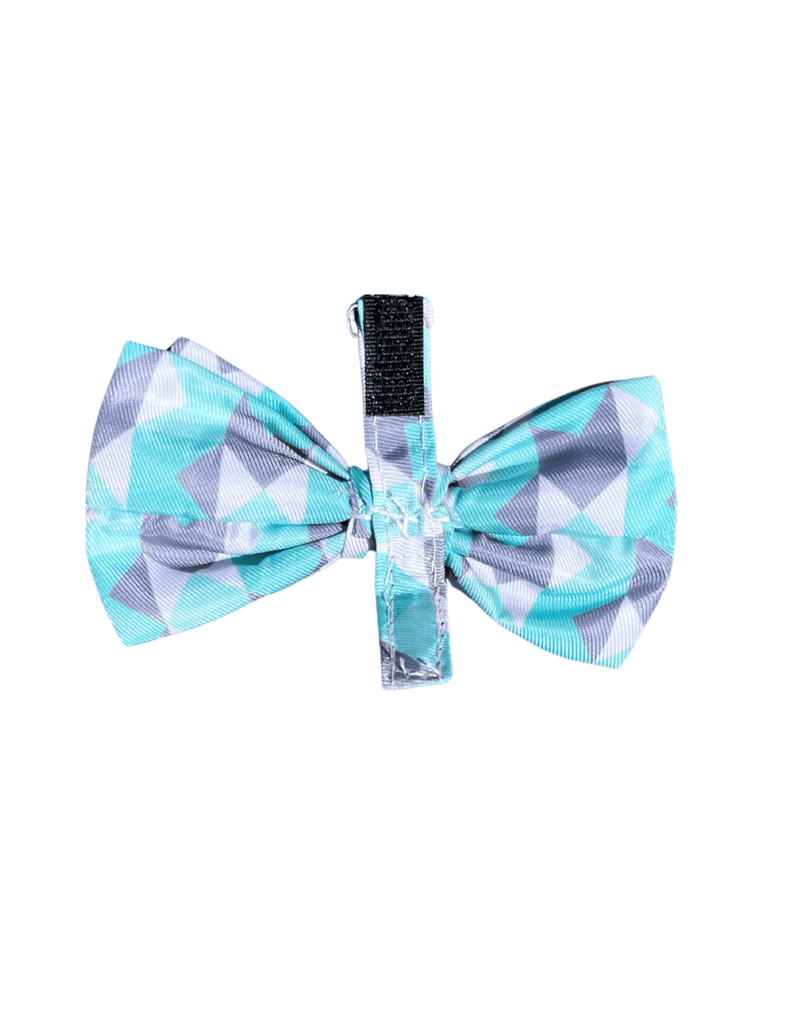 Mint Fizz - Pajarita para perros y gatos