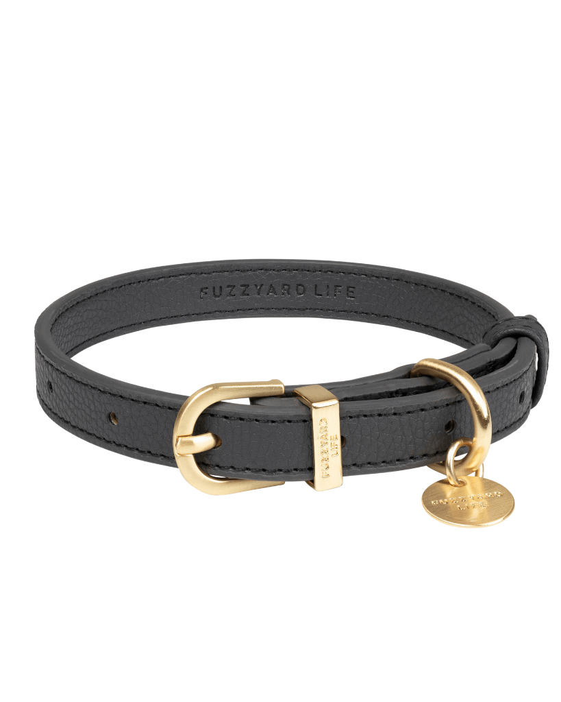 Slate Grey - Collar para perros Atelier