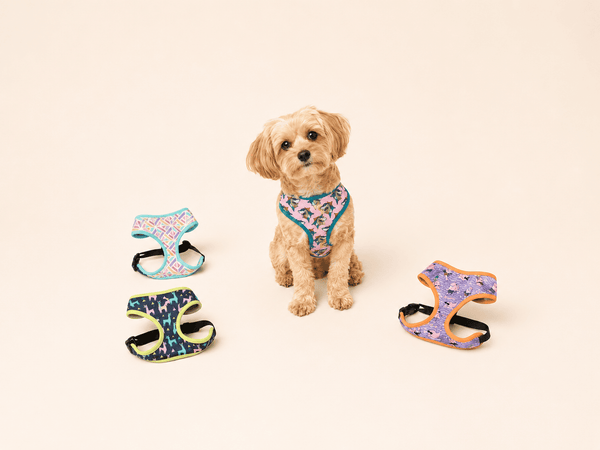 Productos de paseo de FuzzYard