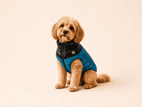 Ropa de FuzzYard