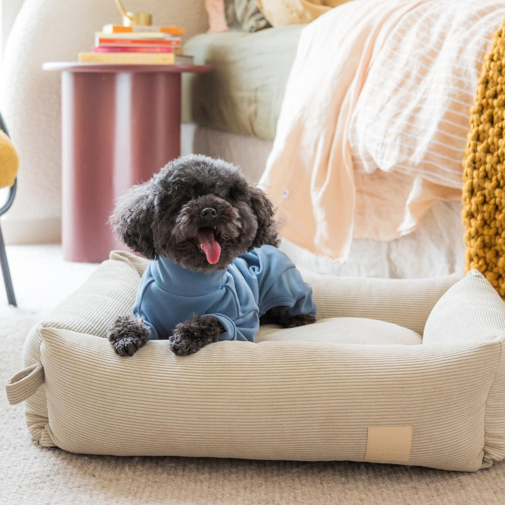 French Blue - Pijama FuzzYard Life