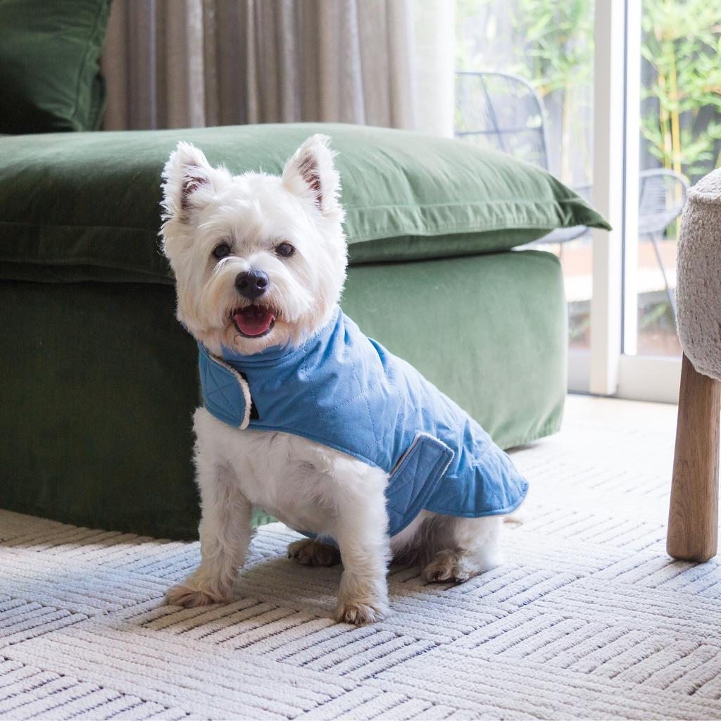 French Blue - Chaqueta de algodón acolchado Fuzzyard Life
