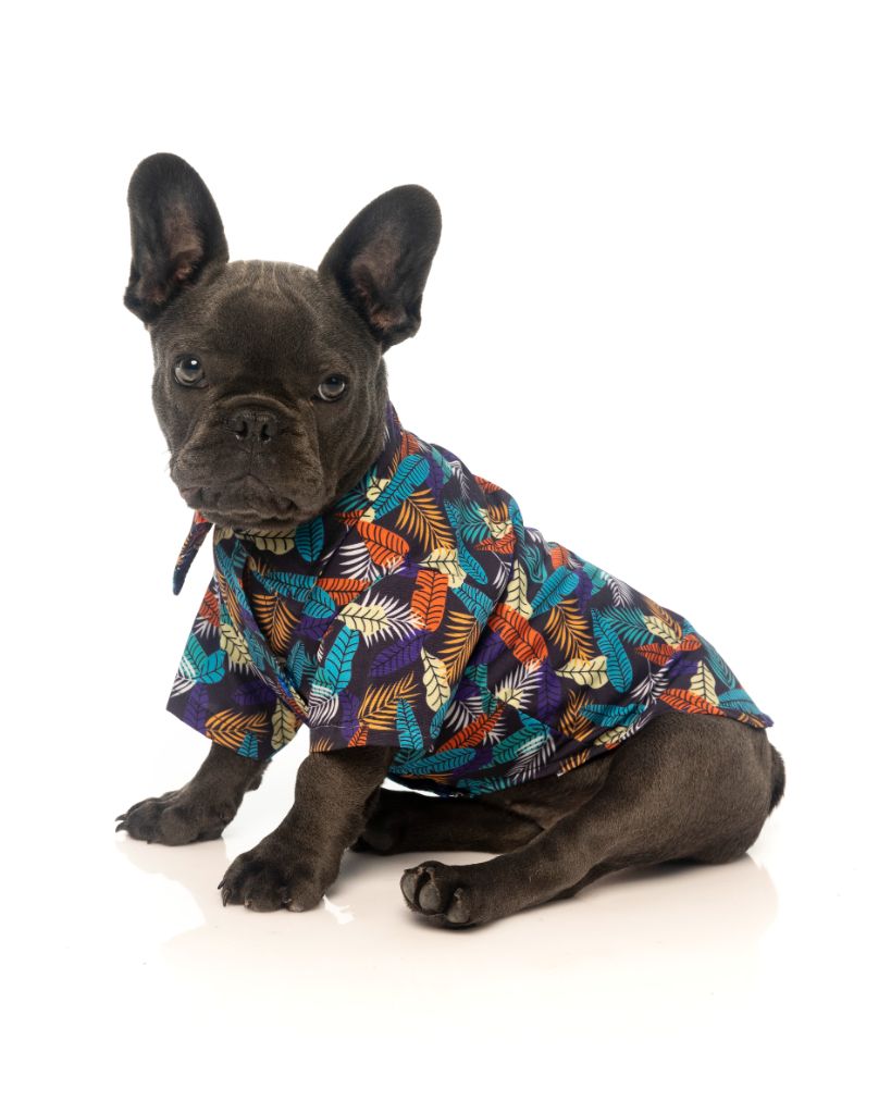 Dog Shirt - Mahalo