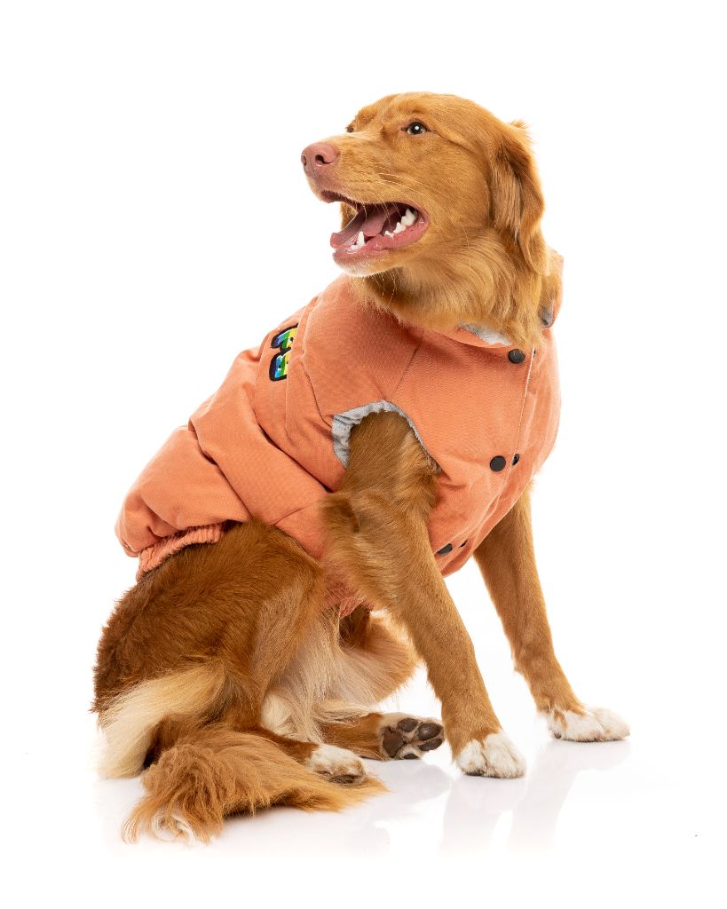 Chaqueta para perros - Ashbury