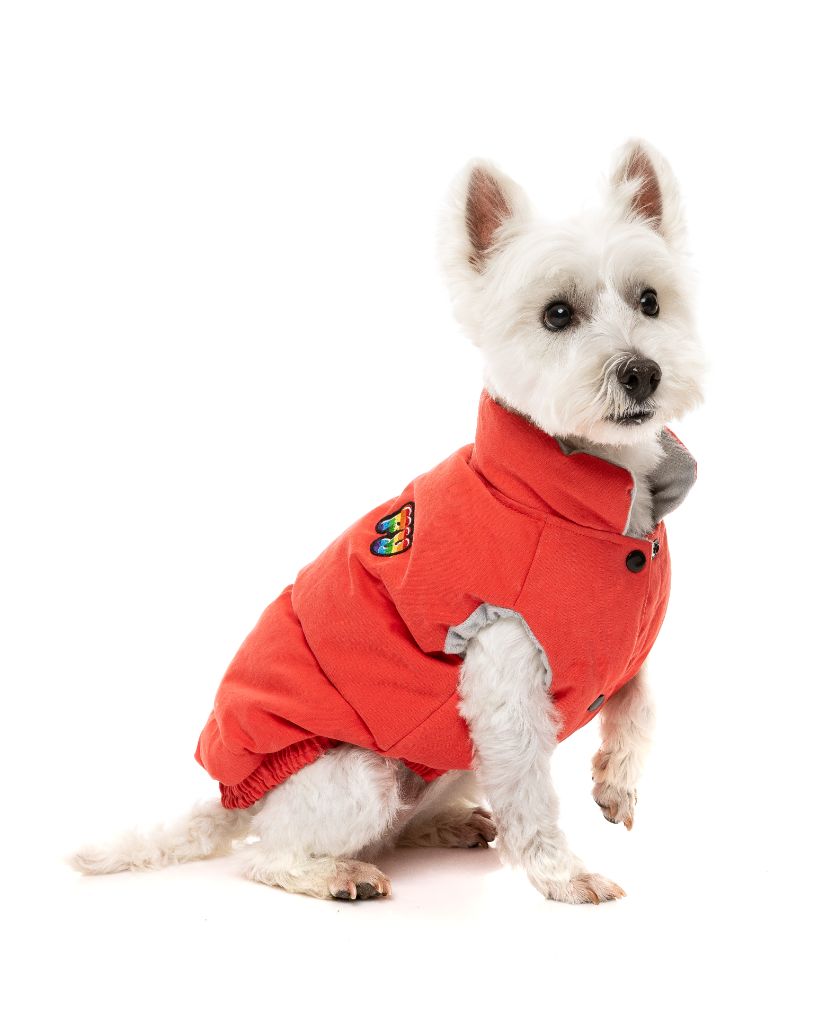 Chaqueta para perros - Ashbury