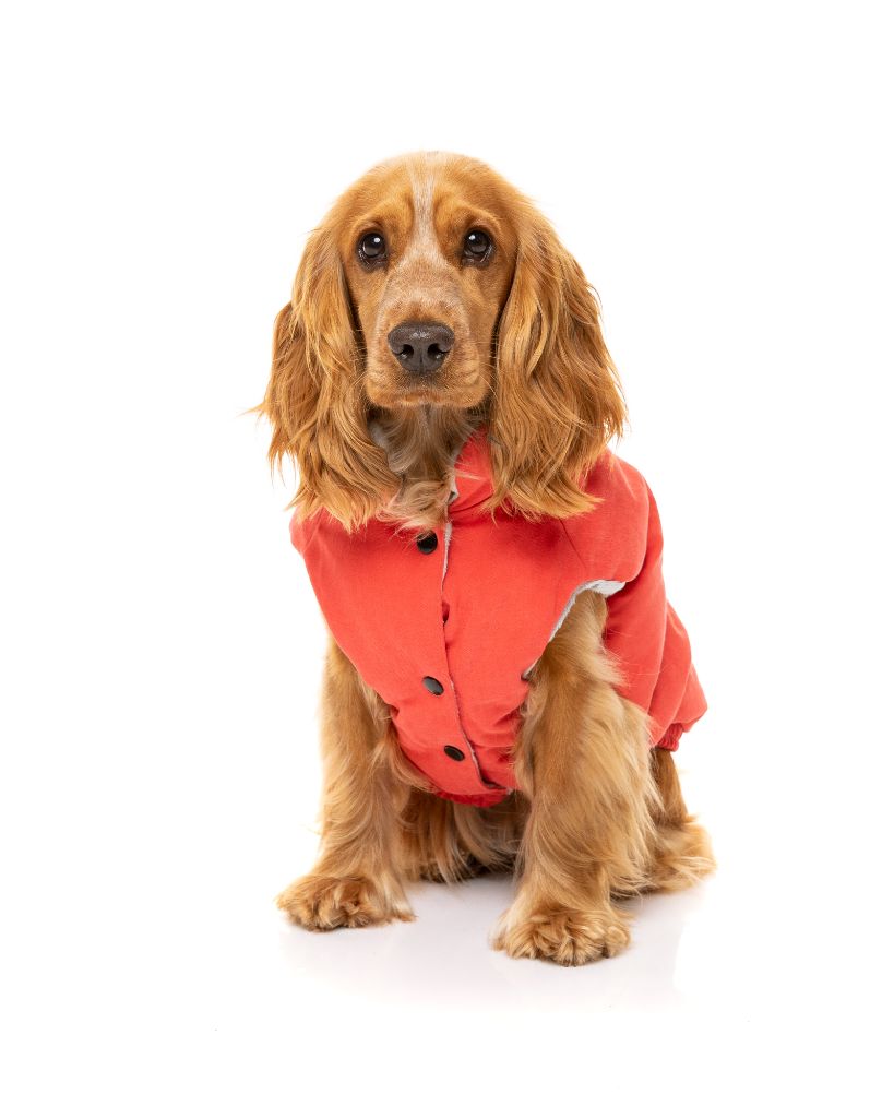Chaqueta para perros - Ashbury