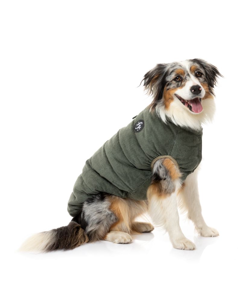 Chaqueta de pana para perros - Mosman Puffer