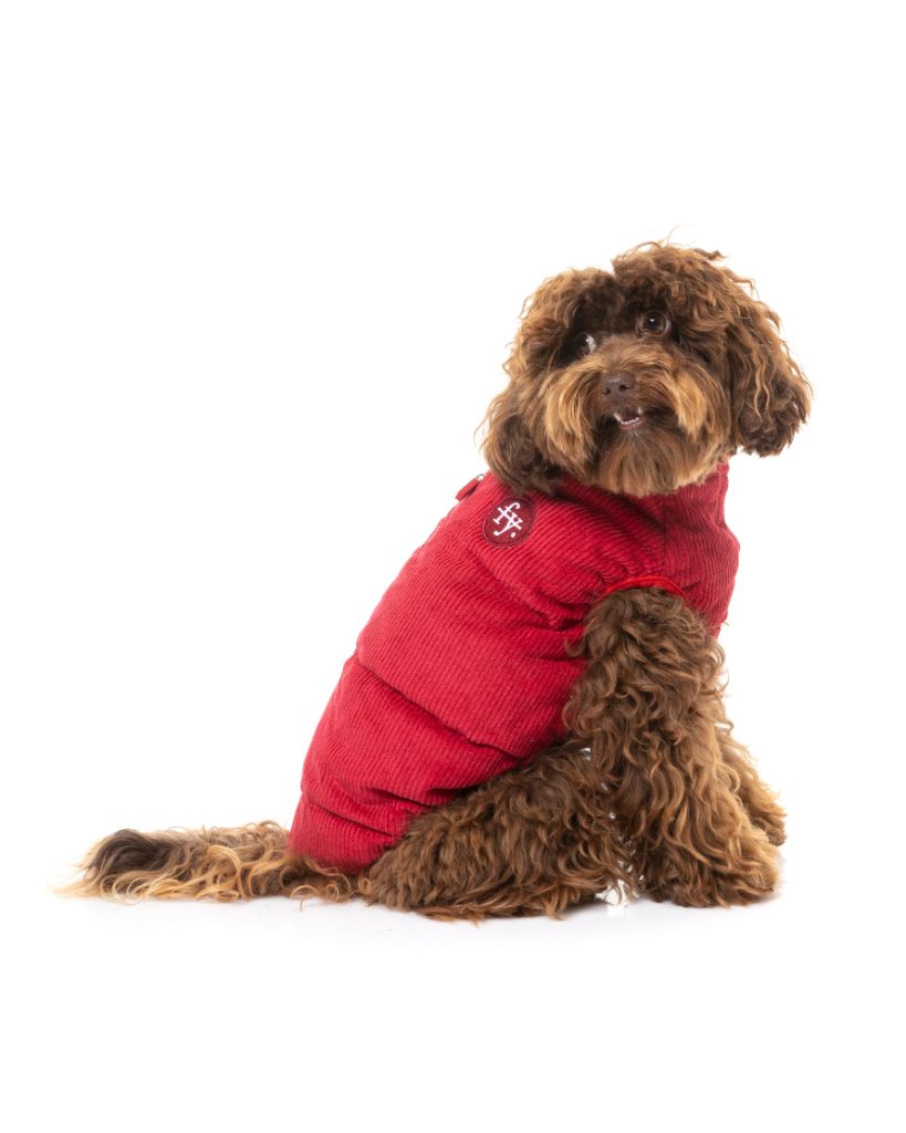 Chaqueta de pana para perros - Mosman Puffer