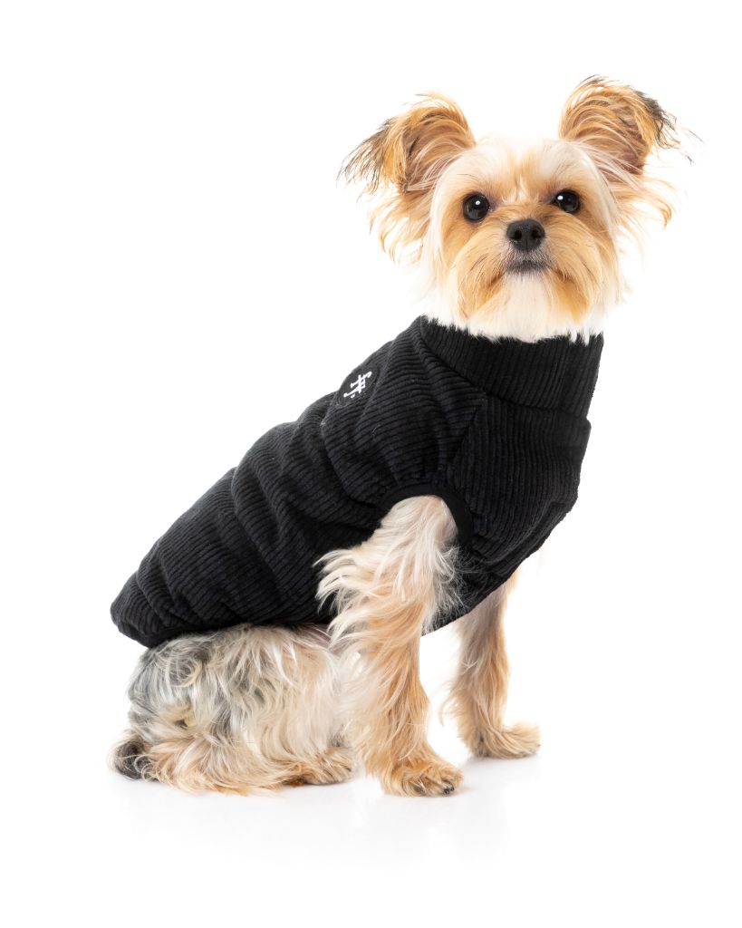 Chaqueta de pana para perros - Mosman Puffer