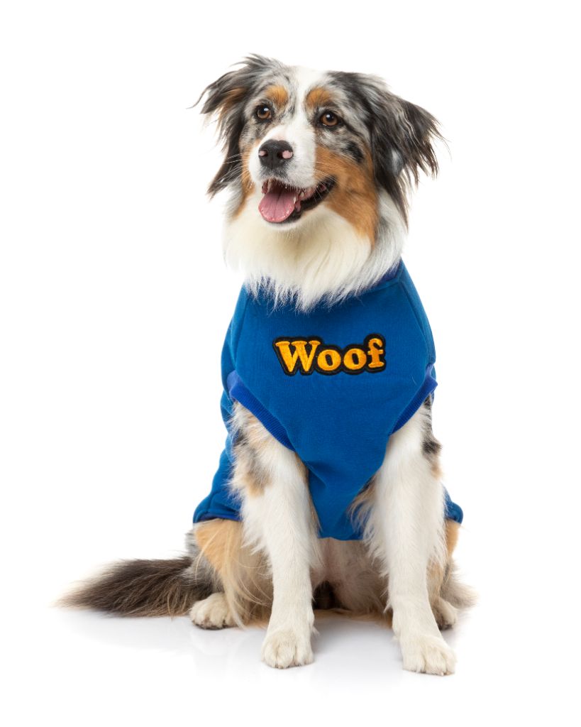 Jerséi para perros - The Woof