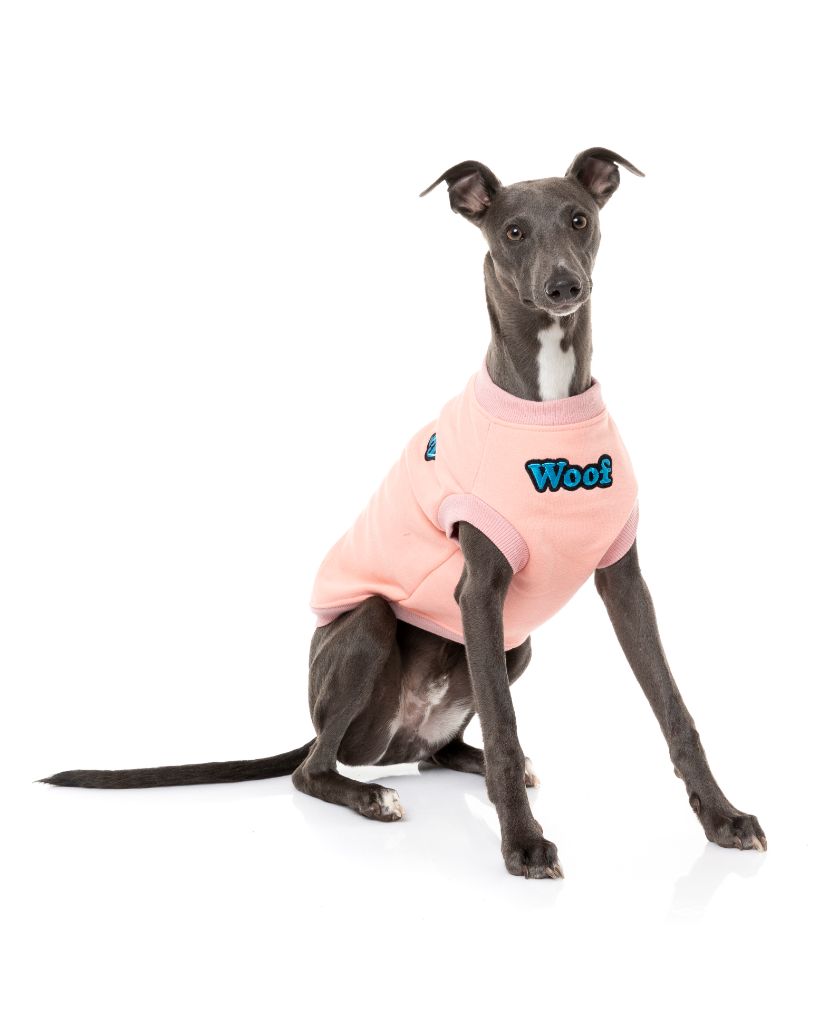 Jerséi para perros - The Woof