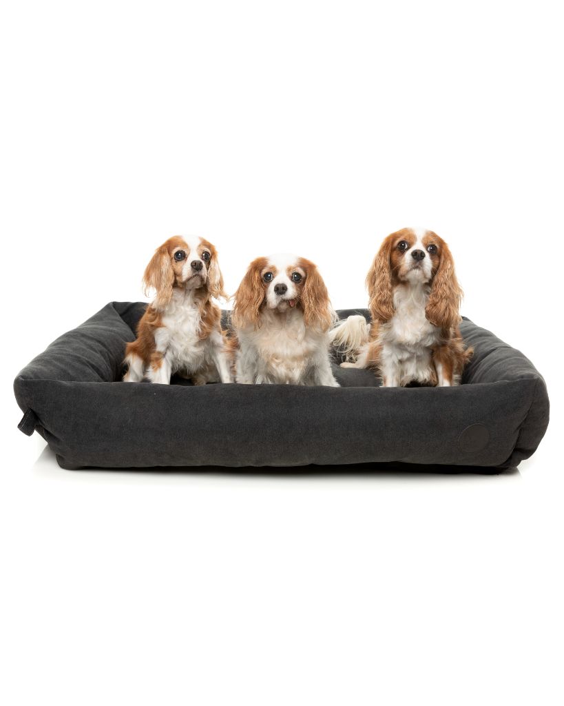 The Lounge Dog Bed Charcoal