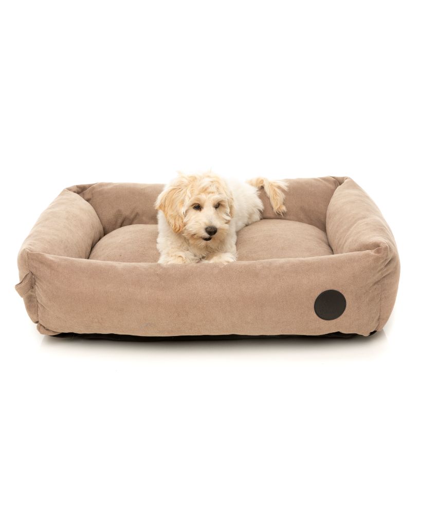 The Lounge Dog Bed Mocha