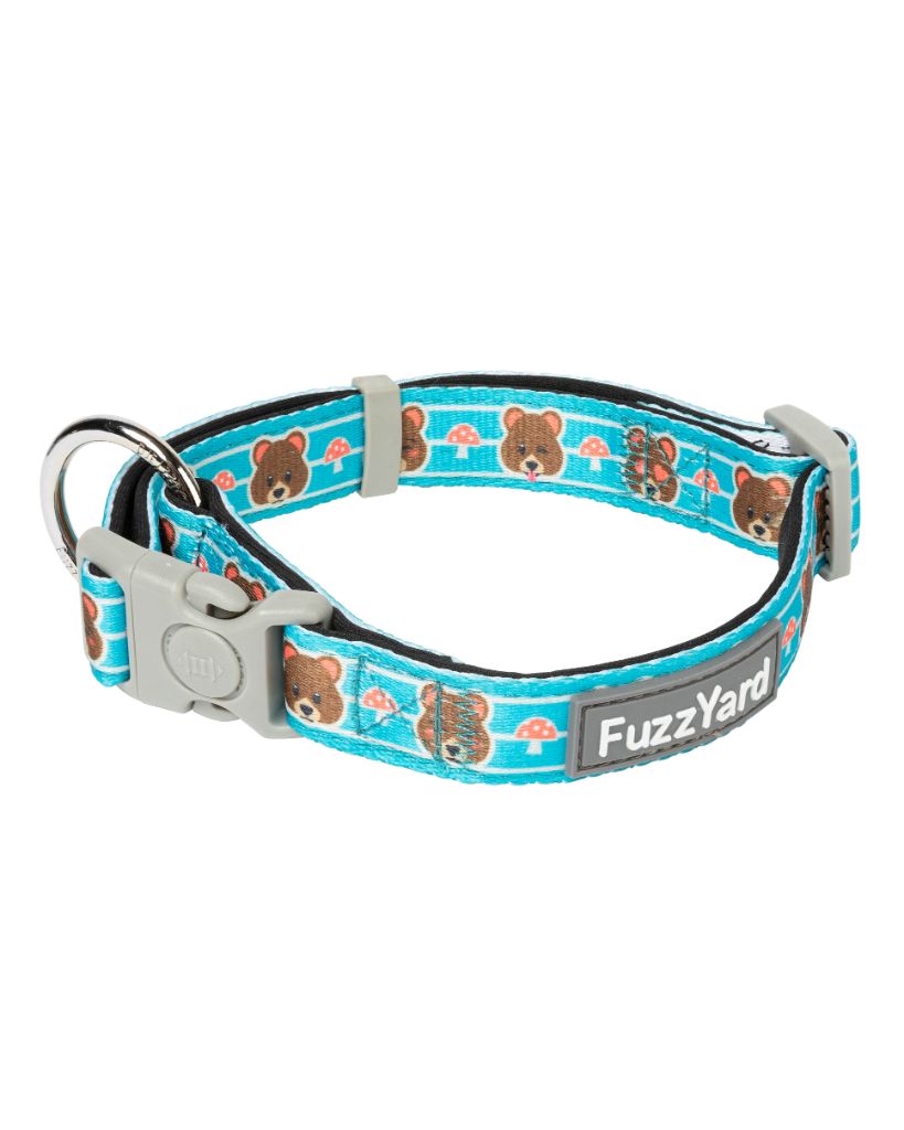 Fuzz Bear - Dog collar