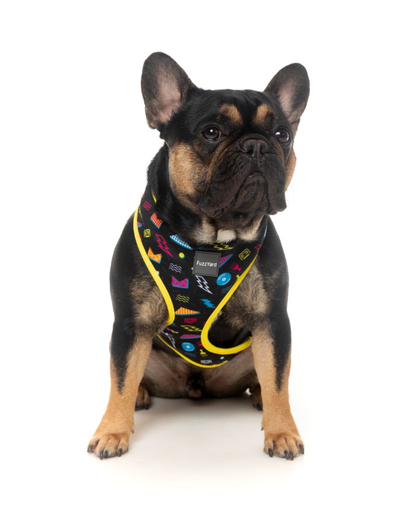 Bel Air Dog Harness
