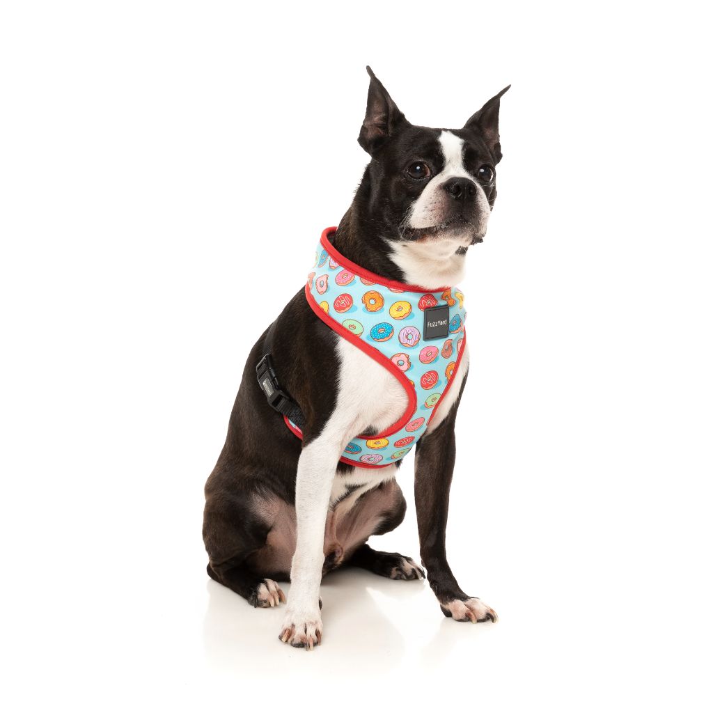 Best In Show Dog Harness