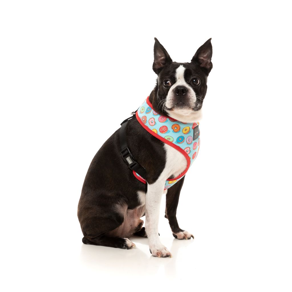 Best In Show Dog Harness