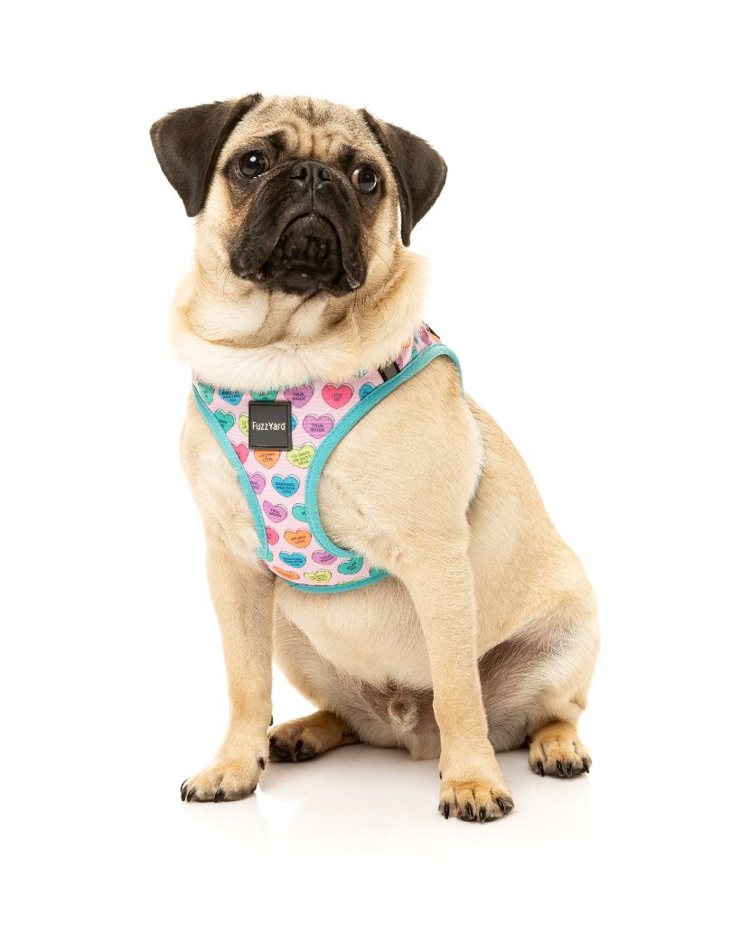 Candy Hearts Step In Dog Harness