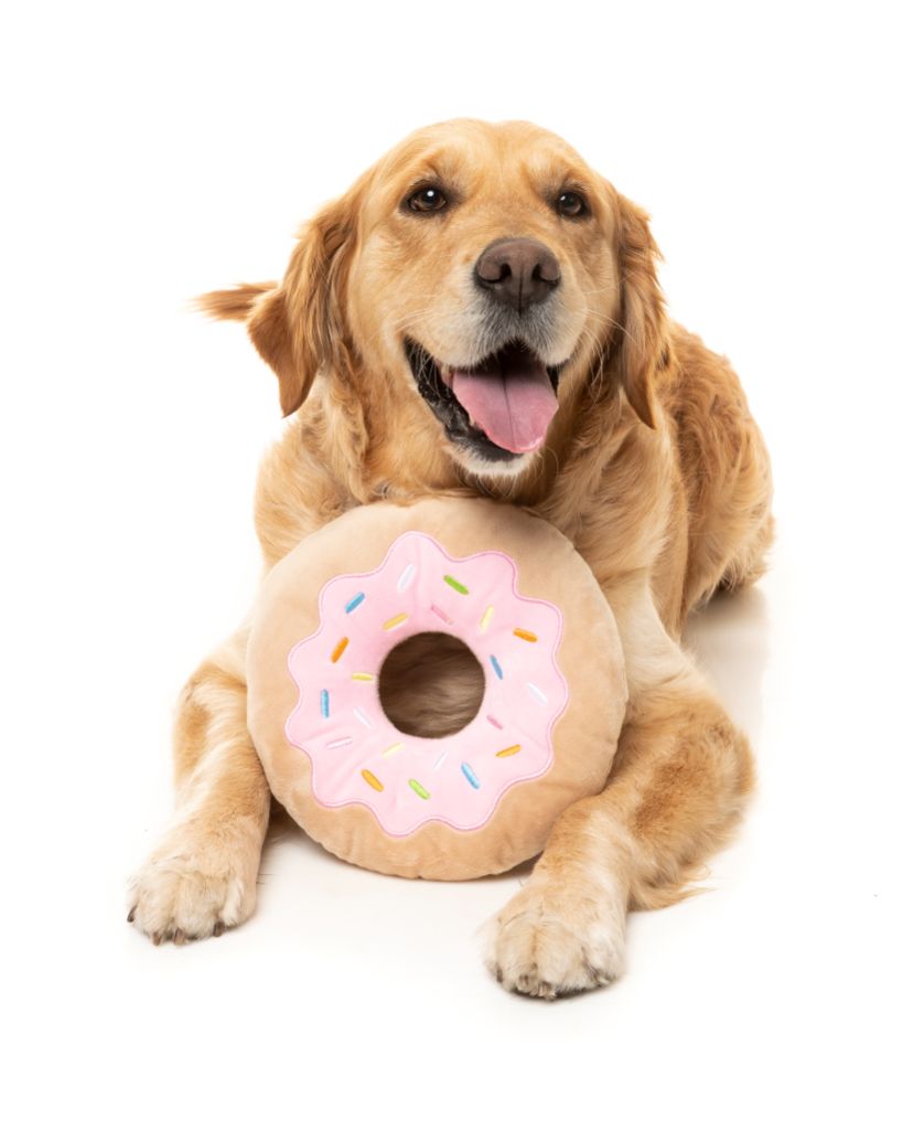 Giant Donut - Dog toy