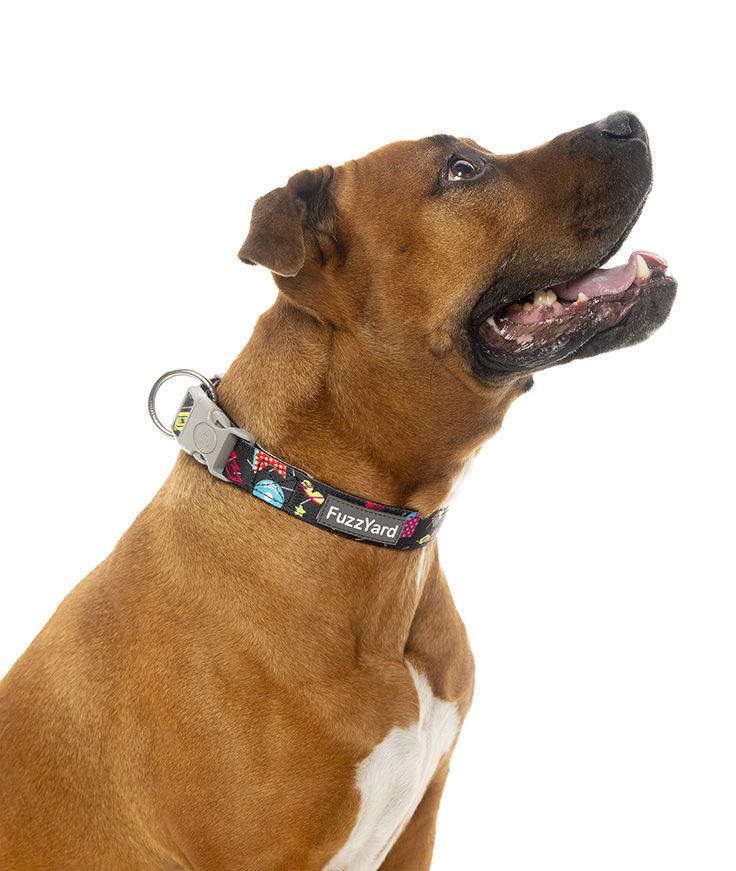Bel Air - Dog collar