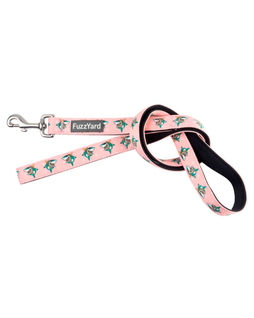 Cool clearance dog leads